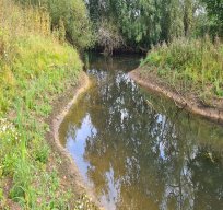 Charvil Backwater - September 2021